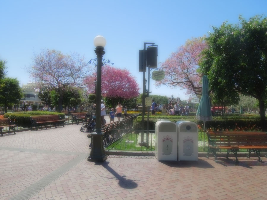 Disneyland Center Circle Picture